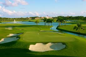 Golf Course & Turf Irrigation Filter