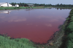 Slaughterhouse Wastewater Filter Treatment