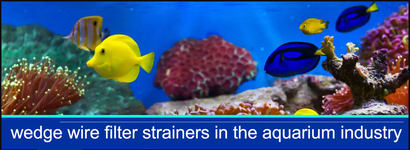 Why use wedge wire filter strainers in the aquarium industry