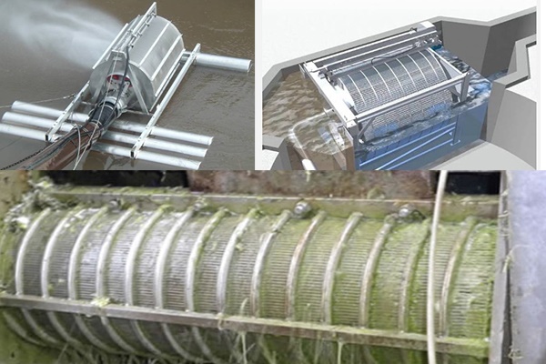 Rotary drum screen for wastewater treatment and solids separation