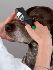 Icare Veterinary Pet Portable Tonometer TV011 TONOVET PLUS Reusable Surgical Instrument for Dog Pressure Pricing