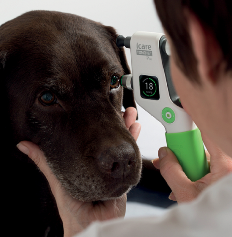 Icare Veterinary Pet Portable Tonometer TV011 TONOVET PLUS Reusable Surgical Instrument for Dog Pressure Pricing
