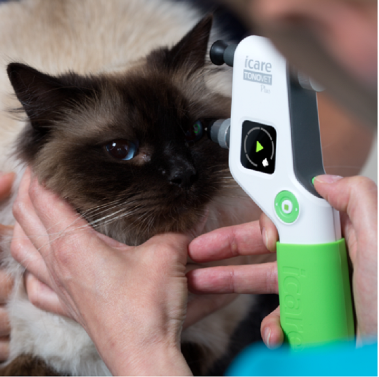 Icare Veterinary Pet Portable Tonometer TV011 TONOVET PLUS Reusable Surgical Instrument for Dog Pressure Pricing