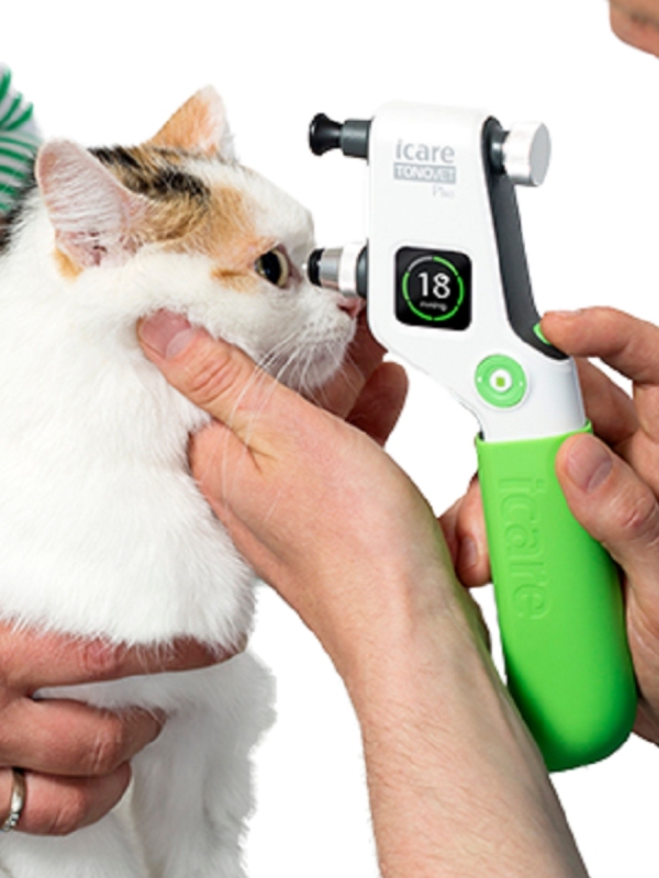 Icare Veterinary Pet Portable Tonometer TV011 TONOVET PLUS Reusable Surgical Instrument for Dog Pressure Pricing