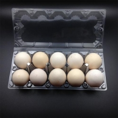 egg packing