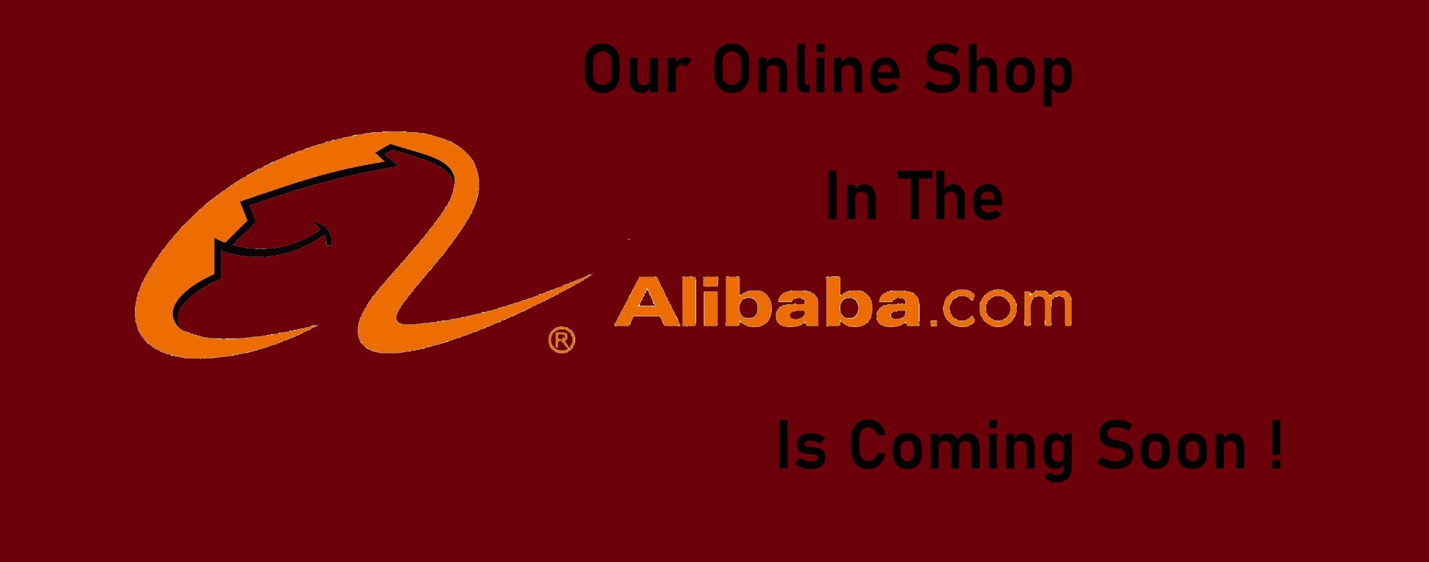 Our Online Shop On Alibaba is Coming!