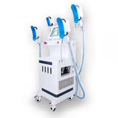 Vertical Cryotherapy Slimming Machine