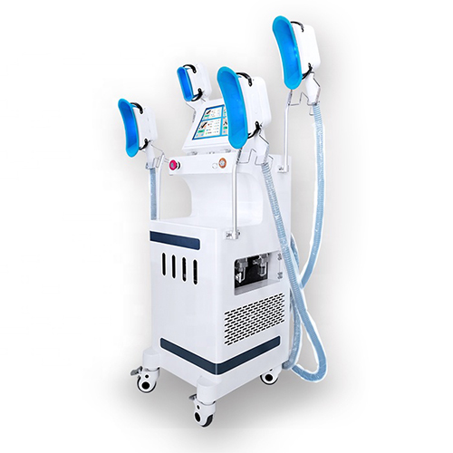 Vertical Cryotherapy Slimming Machine