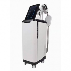 Cryo+Emslim Machine