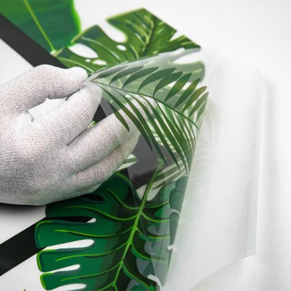 From blah to beautiful: How adhesive printable clear window film elevates interiors