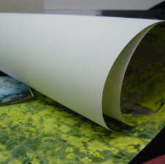 Inkjet canvas roll
