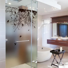 Frosted Window Film