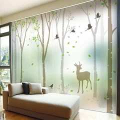 Frosted Window Film