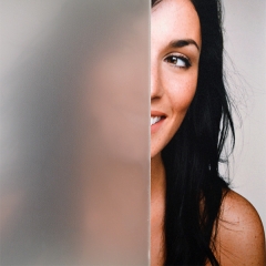 Printable frosted film