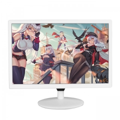 19“LED monitor