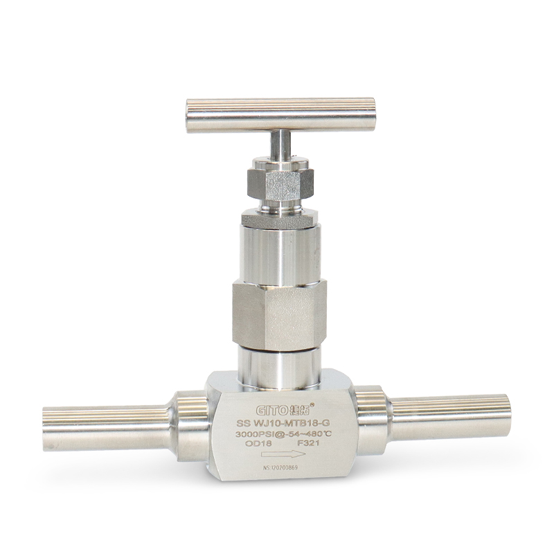 DN10 Welded bellows globe valve