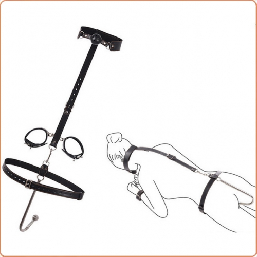 MOG Plug binding anal hook set MOG-BSM022