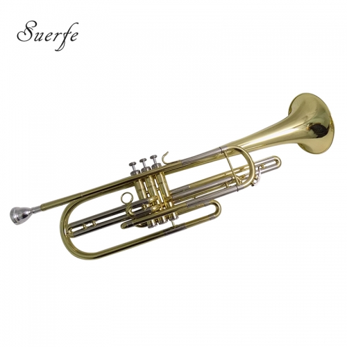 Bb Bass Trumpet Brass Body Lacquer Finish with Wood Case and Mouthpiece Musical Instruments Professional