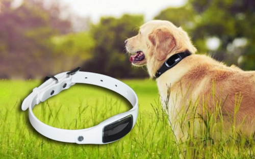 S1 pet hot sale gps collar