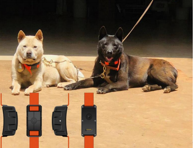 Gps tracker outlet for hunting dogs