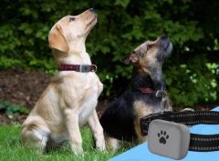 Rastreador GPS para mascotas mini impermeable A21P