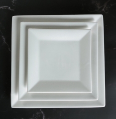 Ceramic Plates 16