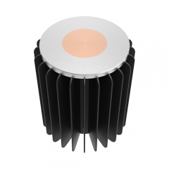 40W FCZ Series LED Heat Sink