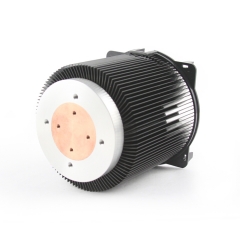 200W F Series Air Cooled Heat Sink