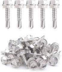 SUS 410 Stainless Steel Screws