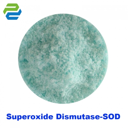 Recombinant Human Superoxide Dismutase (Cu.Zn-SOD)