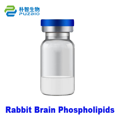 Rabbit Brain Phospholipids RBP