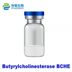 Butyrylcholinesterase BCHE