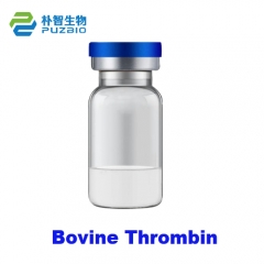 Thrombin Bovine High Activity