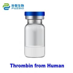 Human Thrombin