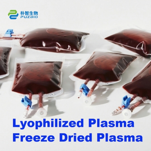 Lyophilized Plasma Freeze Dried Plasma