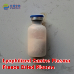 Lyophilized Plasma Freeze Dried Plasma