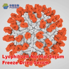 Lyophilized Normal Serum Freeze Dried Serum