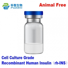Recombinant Human Insulin（rh-INS）Animal Free Cell Culture Grade