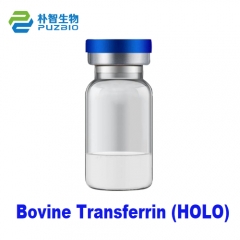 Bovine Transferrin (HOLO) Cell Culture Grade