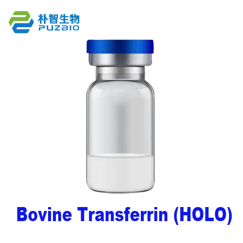 Bovine Transferrin (HOLO) Cell Culture Grade