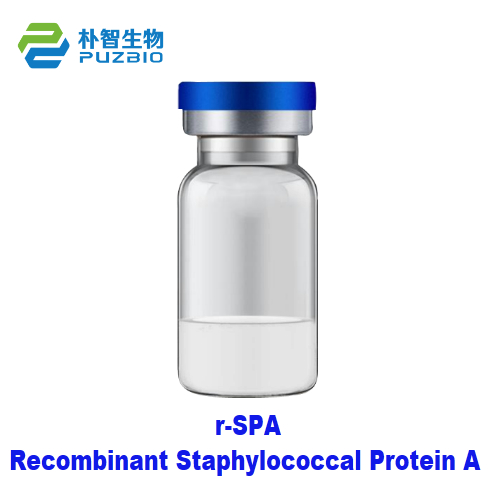 Recombinant Staphylococcal Protein A, r-SPA