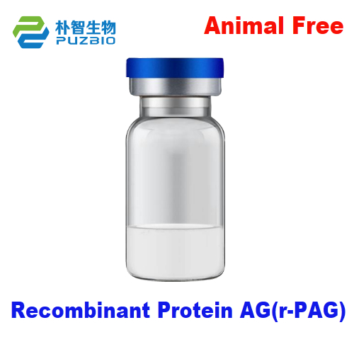 Recombinant Protein AG(r-PAG)