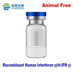 Recombinant Human Interferon γ(rh-IFN γ)