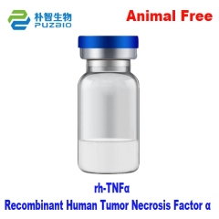 Recombinant Human Tumor Necrosis Factor α rh-TNFα