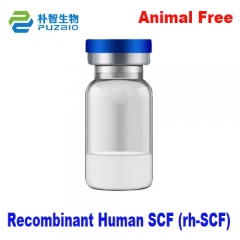 Recombinant Human Stem Cell Factor Recombinant Hum...