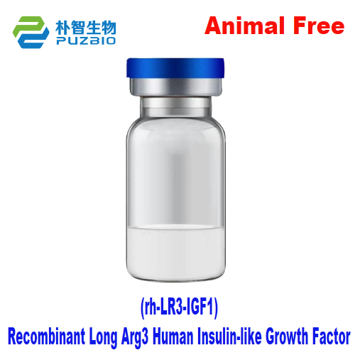 Recombinant Long Arg3 Human Insulin-like Growth Factor (rh-LR3-IGF1)