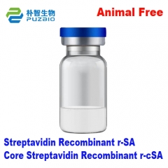 Streptavidin Recombinant r-SA Core Streptavidin Re...
