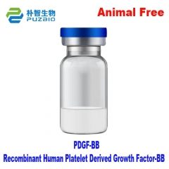 Recombinant Human Platelet Derived Growth Factor-B...
