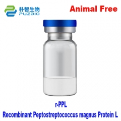 Recombinant Peptostreptococcus magnus Protein L r-...