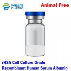 Recombinant Human Serum Albumin rHSA Animal Free C...